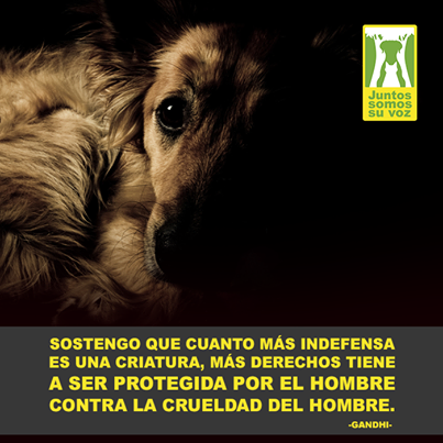 Levantemos las voces por ellos y Defendamosle ellos necesitan de Nosotr@s