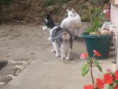 /album/fotogaleria/a1604391-402076849935449-5875209197323855633-n-jpg/