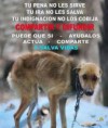 /album/fotogaleria/a1544597-789260757769728-1349268425-n-jpg/