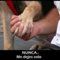 /album/fotogaleria/a10173534-630127437061366-3359324135004336151-n-jpg/